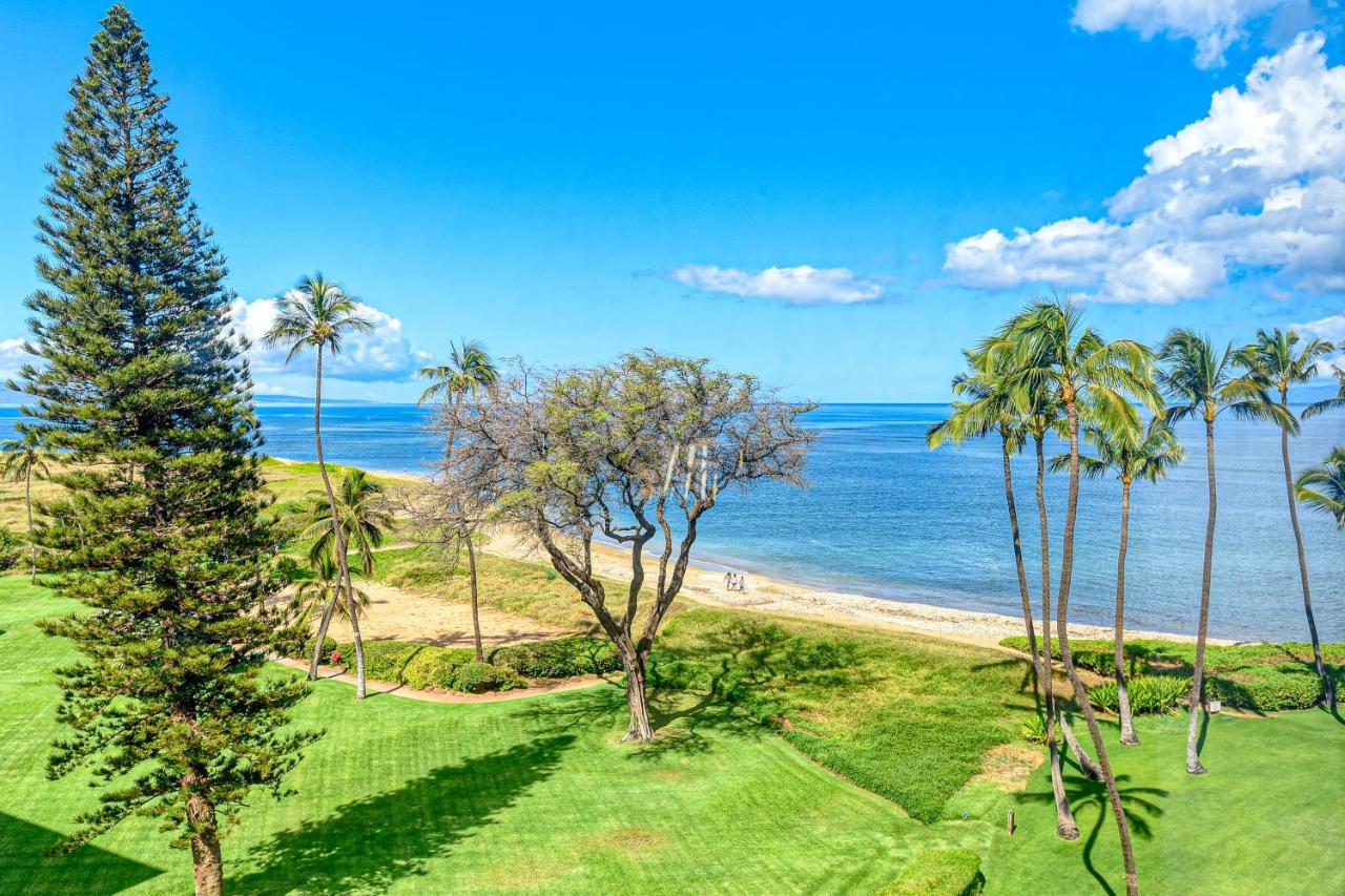 Menehune Shores 626 Kihei Dış mekan fotoğraf